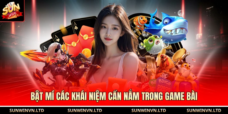 Xì Tố | Bí Kíp Đấu Trí Và Chiến Thuật Chơi Bất Bại 2026 3 Bật mí các khái niệm cần nắm trong game bài